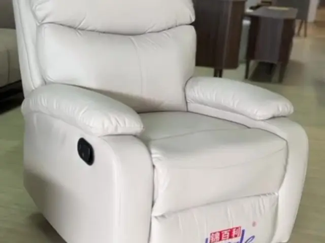 Room Concept Furnishing TikTok single recliner chair