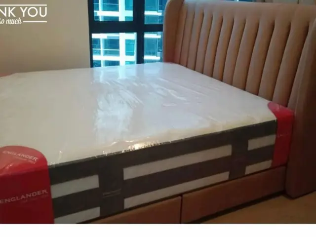 Room Concept Furnishing TikTok bed frame with padded headboard